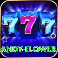 andy flower VIP Edition v3.5.4