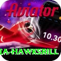 antigua hawksbill Plus v5.9.3