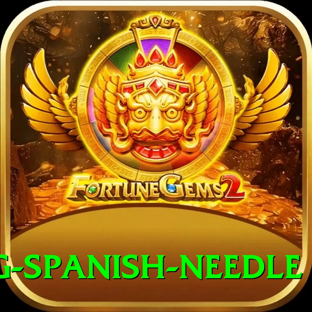 canyoning spanish needle VIP v1.5.3 - 2