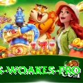 chris woakes - Slots Prime