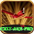 cricket aus Gaming Max v5.8.2
