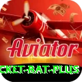 cricket bat - King Earning App