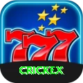 crickex Elite Pro vv1.1.4