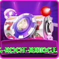 dawki living root bridge Pro1 v5.9.3