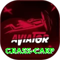 grass carp VIP Edition v3.5.5