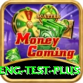 ind eng test VIP v4.9.0