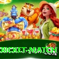 india cricket match Elite Pro v4.4.7