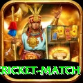 india pakistan cricket match Ultimate v4.7.8