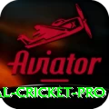 international cricket Premium APK v4.2.6