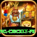 make money betting cricket pk Apps (Tools & Injectors) Elite v2.4.0