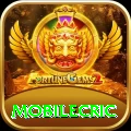 mobilecric Master Pro v4.6.0