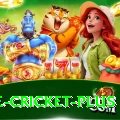 one cricket - Gold Edition v1.3.8