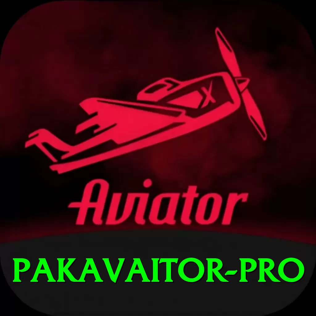 PakAvaitor PK Max - 2