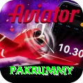 pakrummy Pro Max v3.2.8