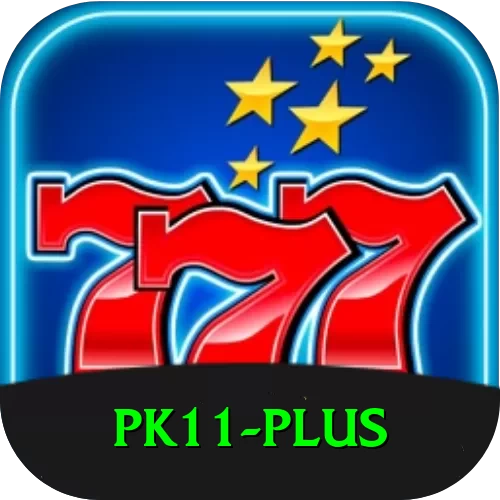 pk11 Plus Pro v1.1.5 - 2