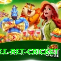 risk free bet cricket Elite Pro v4.3.1