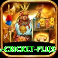 sa cricket Deluxe - Win Real PKR