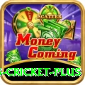 sports cricket Gaming Turbo