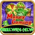 Spribewin - Casino Pro