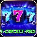 test cricket Mega Casino App