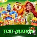 test match Plus Edition v4.2.2