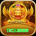 tiger888 Max v5.0.4