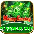under 19 cricket world cup Deluxe Edition v1.5.5
