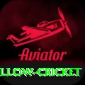 willow cricket Gold Edition v5.6.8